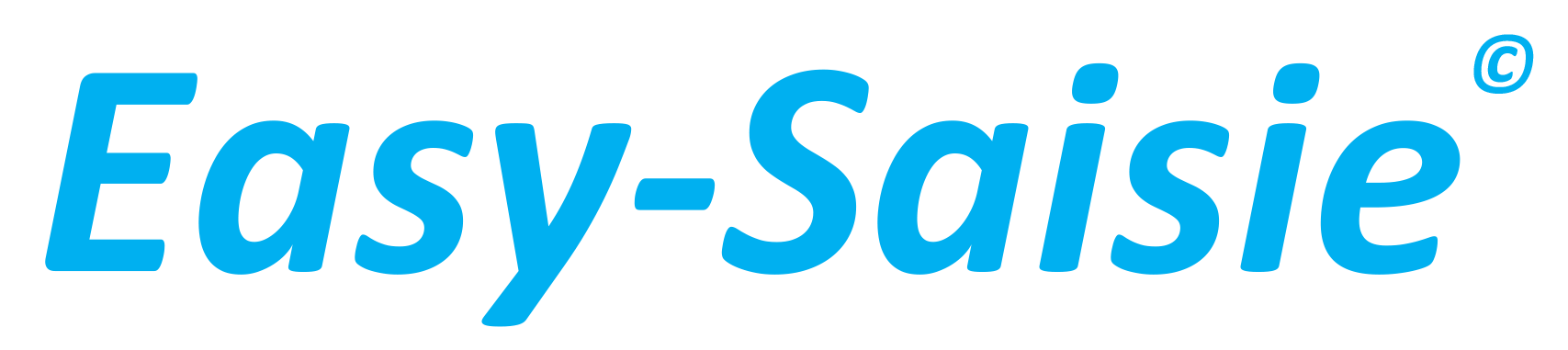 easysaisie logo